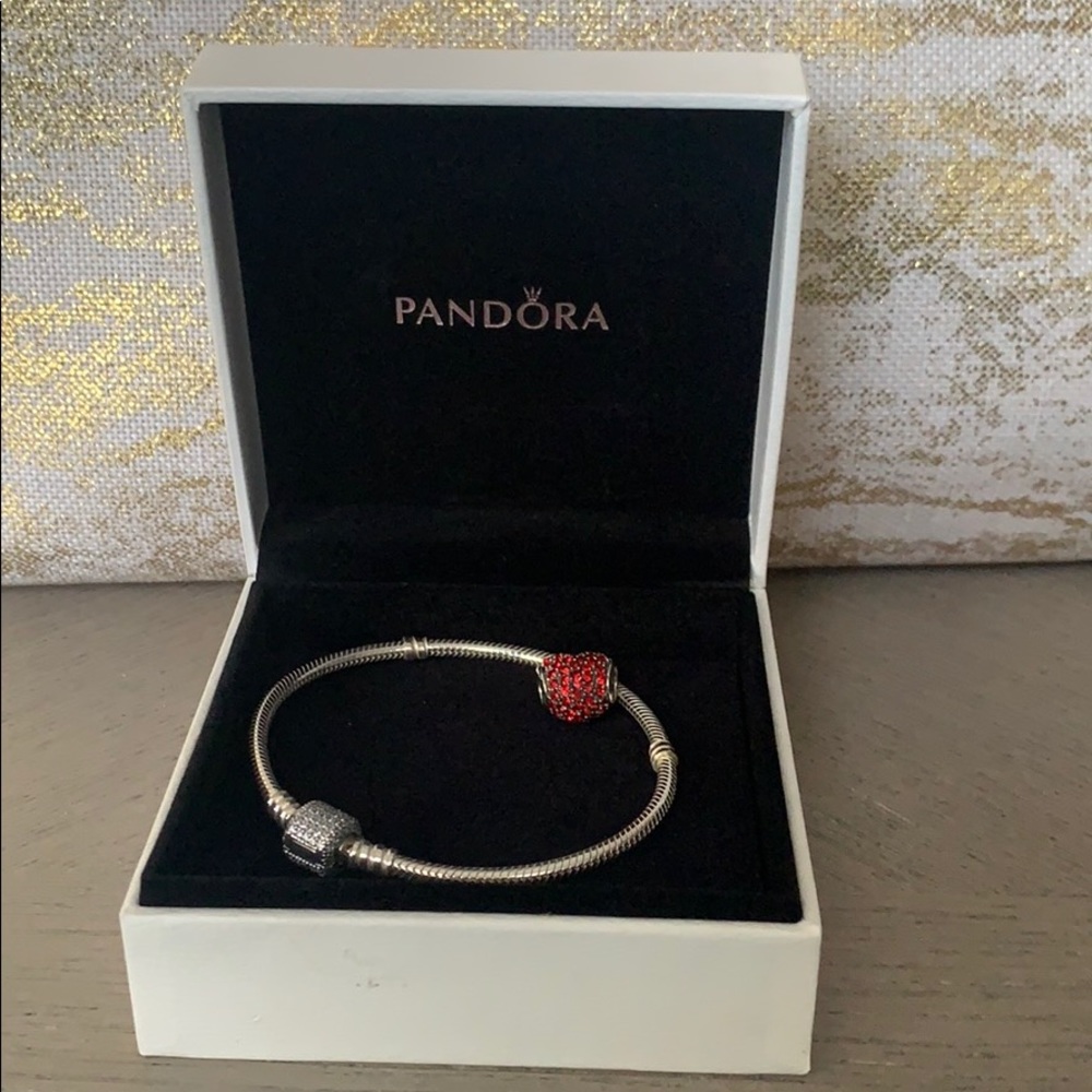 Pandora Bracelet with Charm
